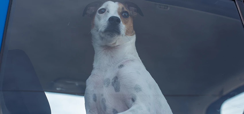 Car Lockout Solutions in Norwalk, California